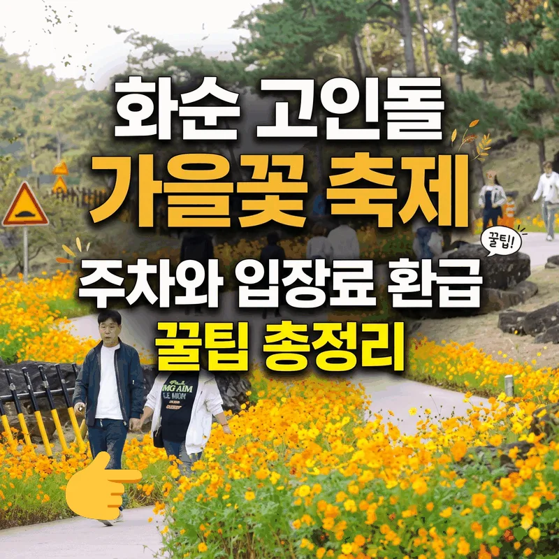화순 고인돌 가을꽃 축제 주차와 입장료 환급 꿀팁 총정리