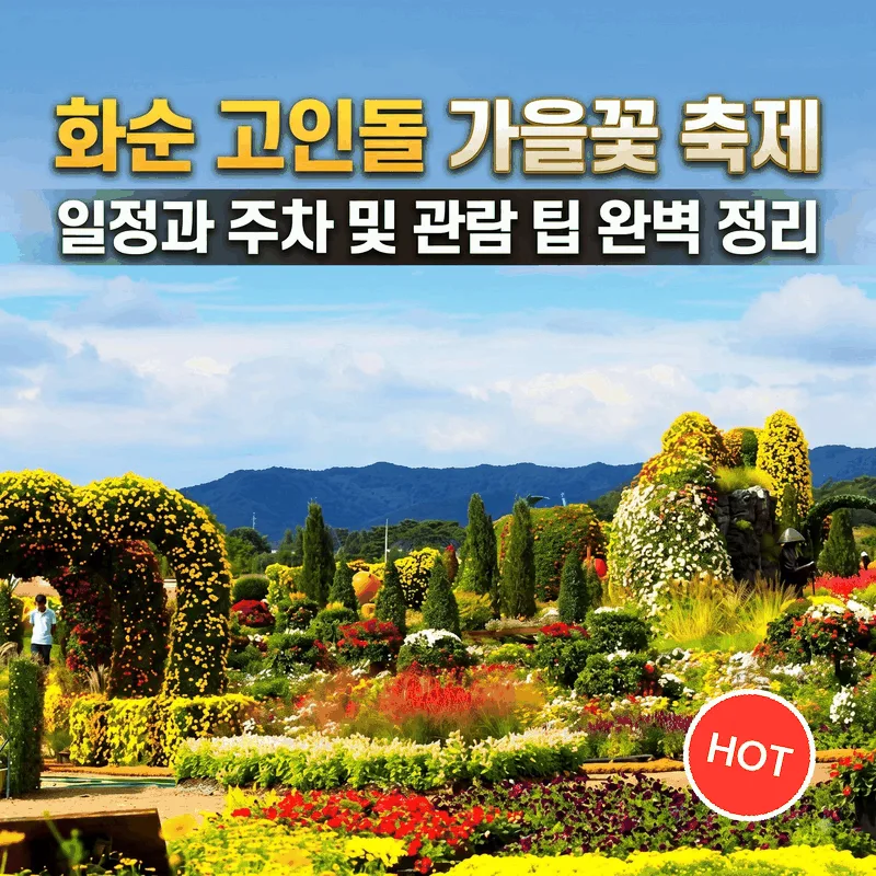 화순 고인돌 가을꽃 축제 일정과 주차 및 관람 팁 완벽 정리