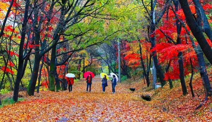 너릿재옛길 / 사진=화순 공식블로그