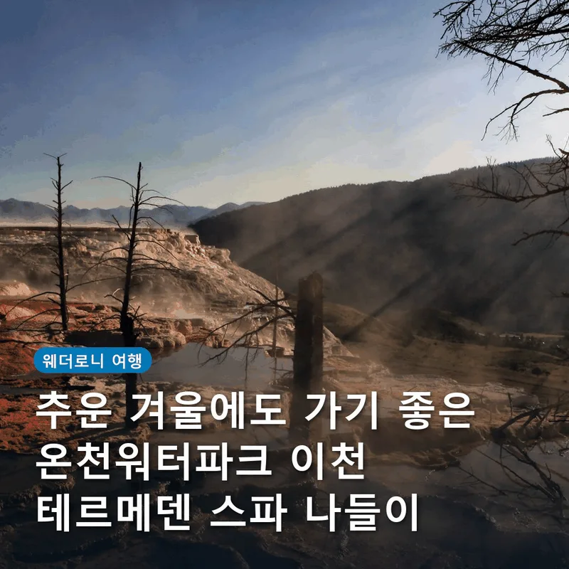 추운 겨울에도 가기 좋은 온천워터파크 이천 테르메덴 스파 나들이