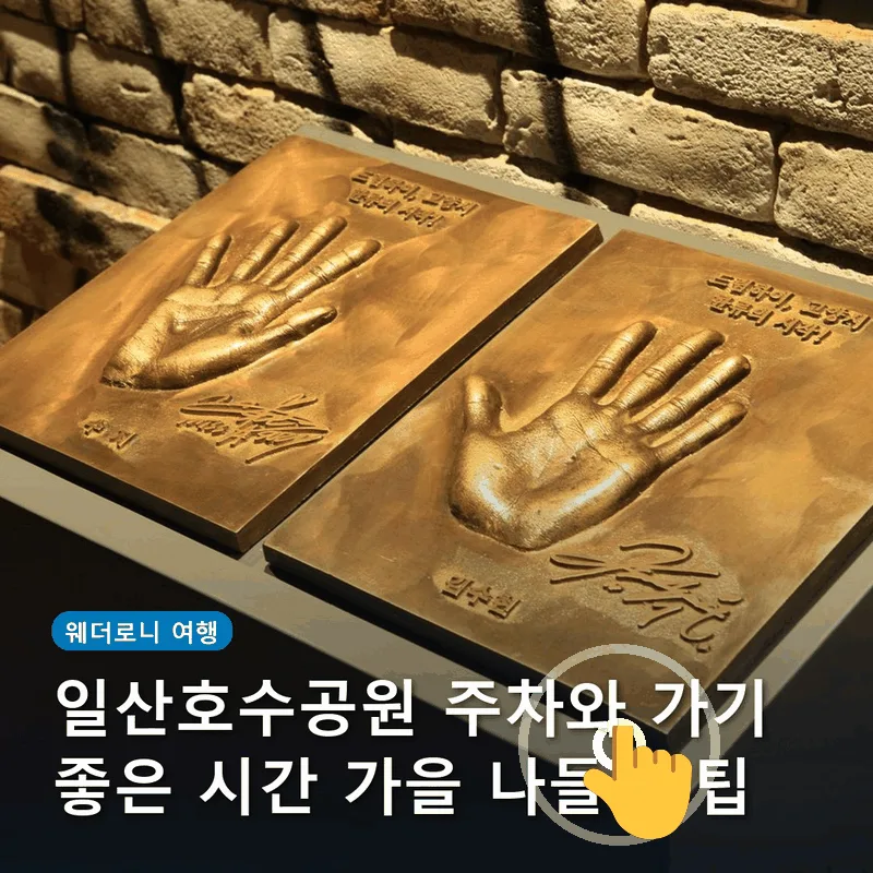 일산호수공원 주차와 가기 좋은 시간 가을 나들이 팁