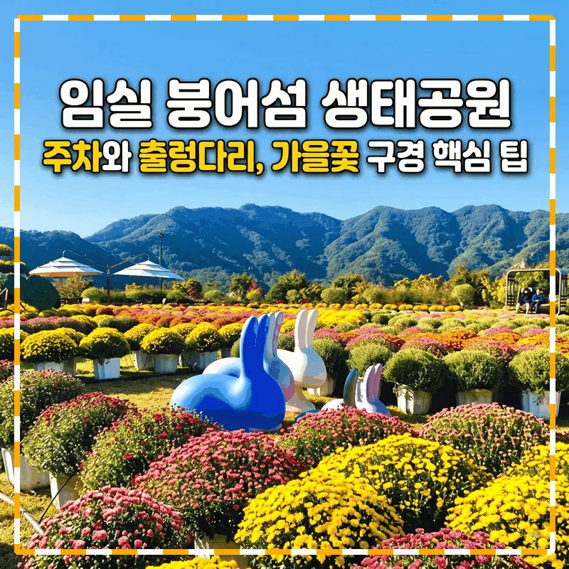 임실 붕어섬 생태공원 주차와 출렁다리, 가을꽃 구경 핵심 팁