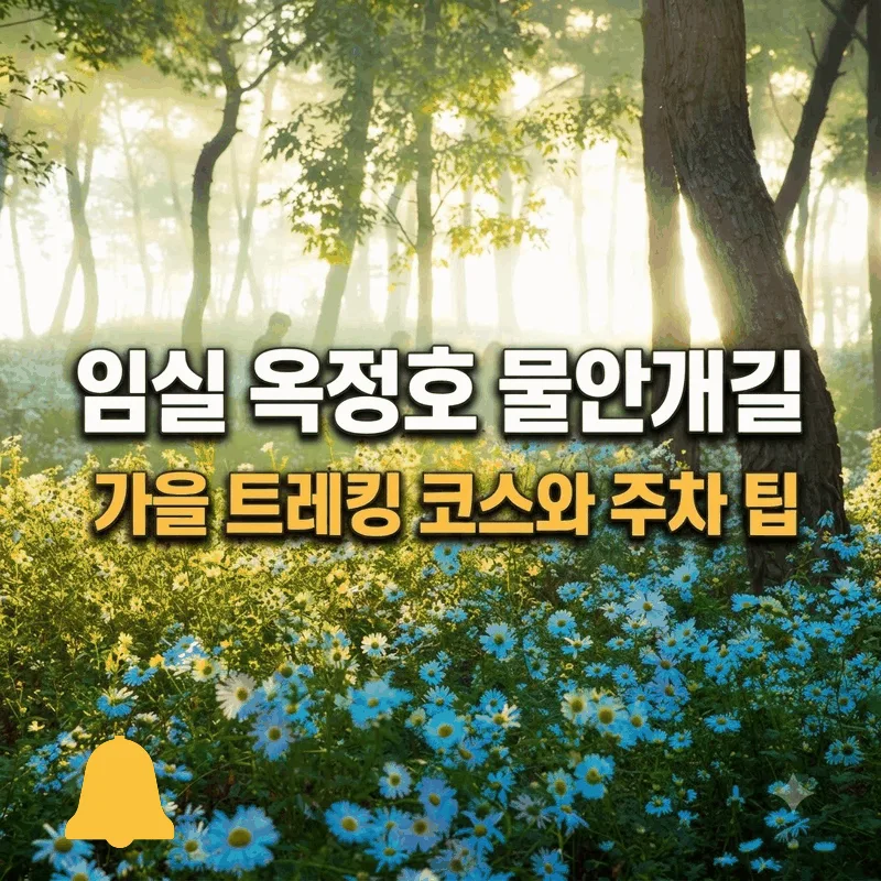 임실 옥정호 물안개길 가을 트레킹 코스와 주차 팁