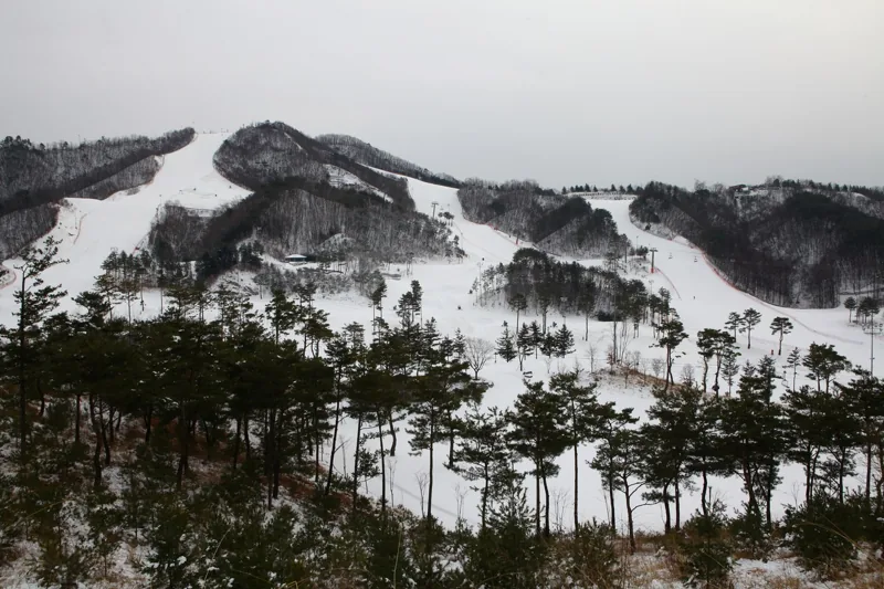오크밸리스키장