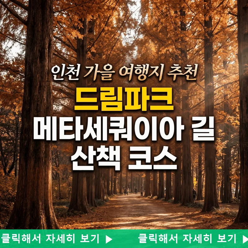 인천 가을 여행지 추천, 드림파크 메타세쿼이아 길 산책 코스