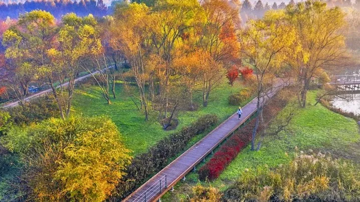 인천대공원 산책로 / 사진=게티이미지뱅크