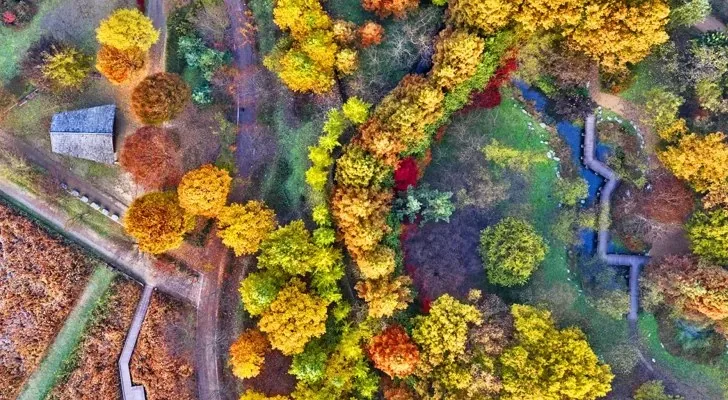 인천대공원 단풍 / 사진=게티이미지뱅크