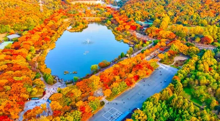 인천대공원 전경 / 사진=인천투어
