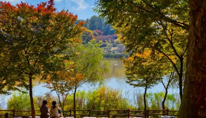 인천대공원 가을 / 사진=인천투어