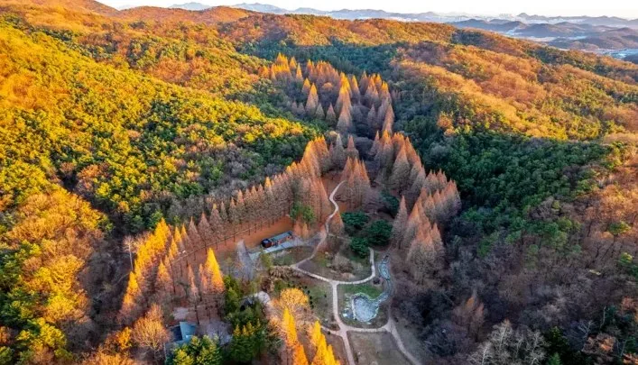인천대공원 단풍 풍경 / 사진=게티이미지뱅크