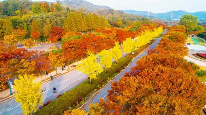 인천대공원 단풍 / 사진=ⓒ한국관광공사 두드림