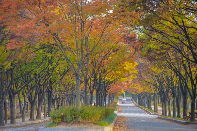 인천대공원