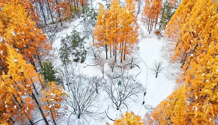 인천대공원 겨울 풍경 / 사진=게티이미지뱅크