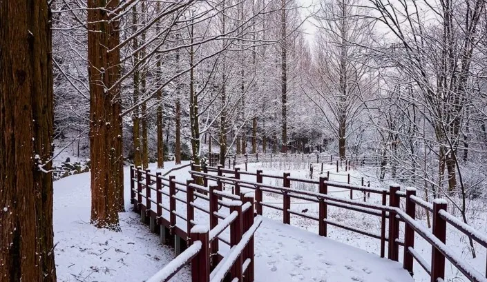 인천대공원 모습 / 사진=게티이미지뱅크