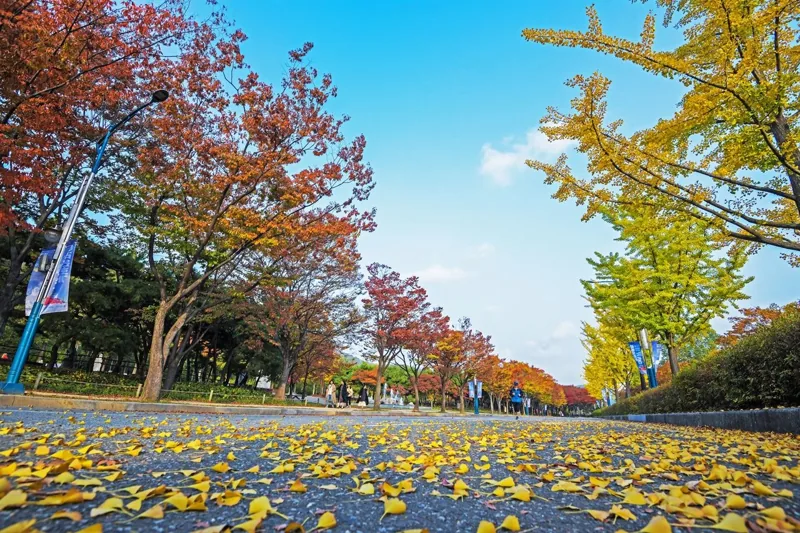 인천대공원