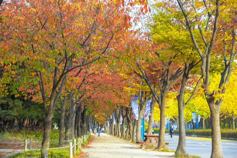 인천대공원
