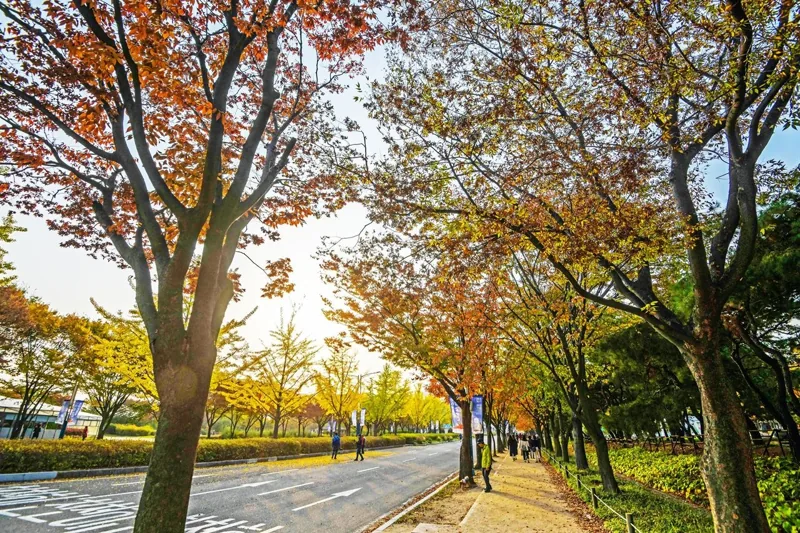 인천대공원