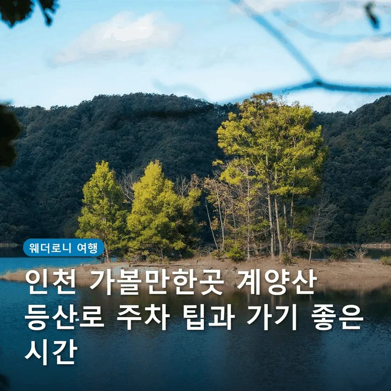 인천 가볼만한곳 계양산 등산로 주차 팁과 가기 좋은 시간