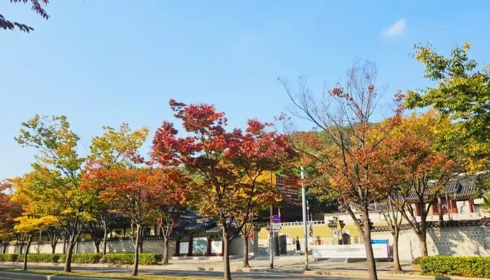 인천향교 단풍길 / 사진=인천광역시 공식 블로그 김성민