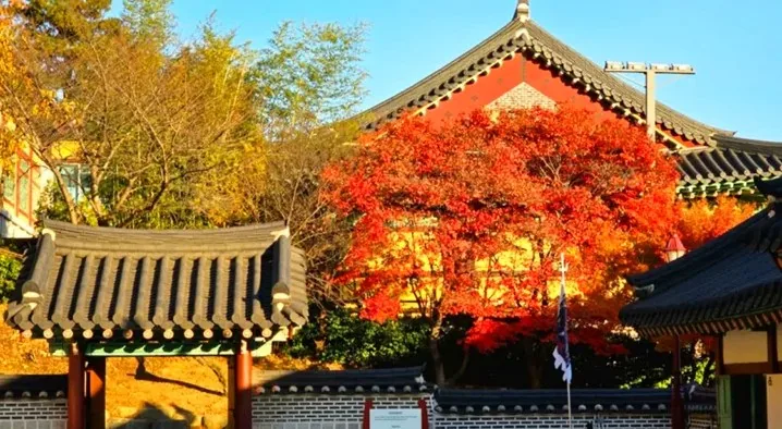 인천향교 단풍 / 사진=인천광역시 공식 블로그 한보현
