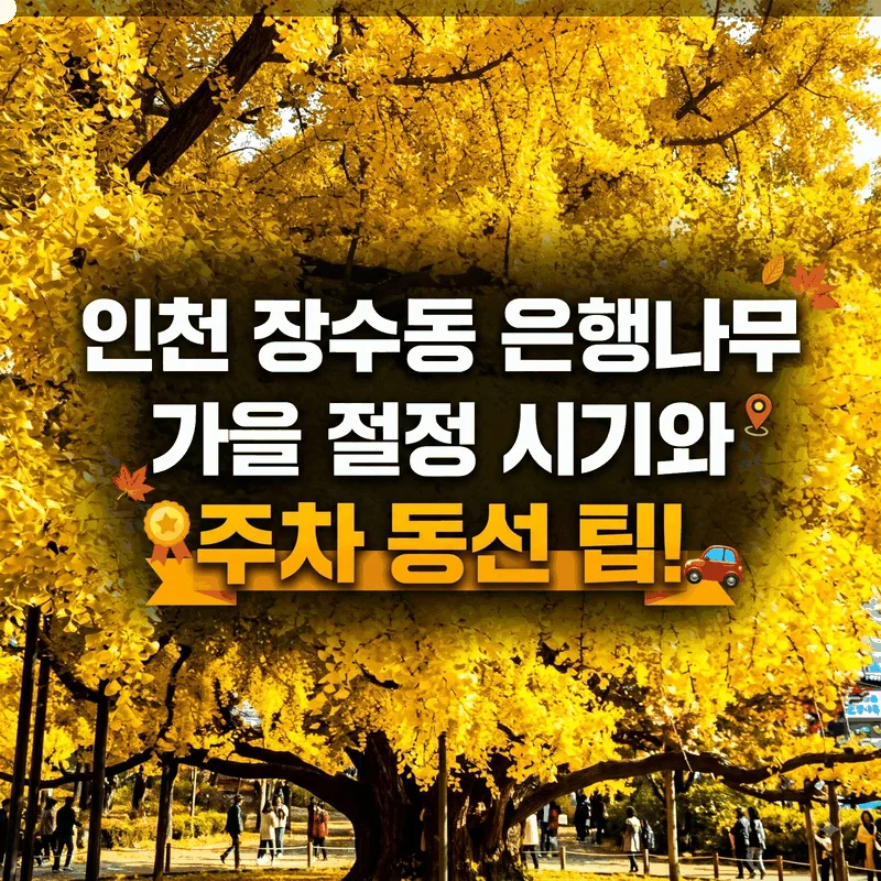 인천 장수동 은행나무 가을 절정 시기와 주차 동선 팁