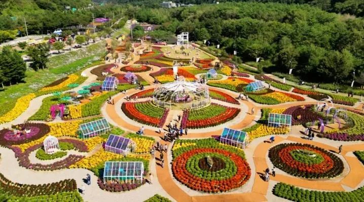 인제가을꽃축제 풍경 / 사진=인제가을꽃축제