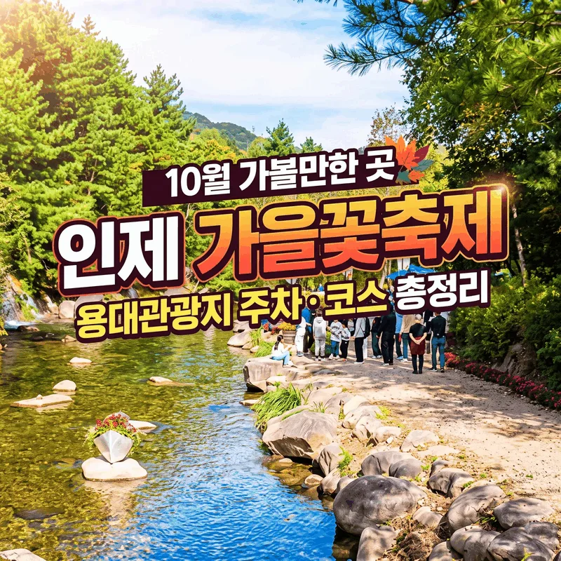 인제가을꽃축제 10월 가볼만한 곳 용대관광지 주차 코스 총정리