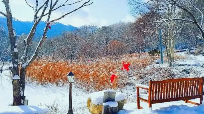 필례 게르마늄 온천 겨울 설경 / 사진=필례 게르마늄 온천