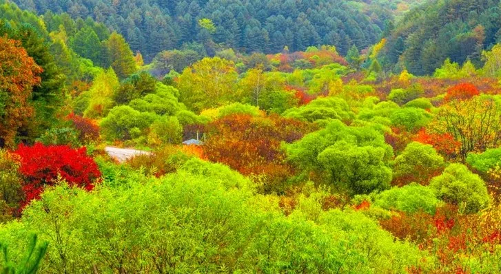 인제 비밀의 정원 풍경 / 사진=ⓒ한국관광공사 홍정표