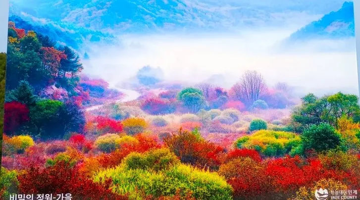 인제 비밀의 정원 전경 / 사진=인제 공식블로그 시모히가시 가나에