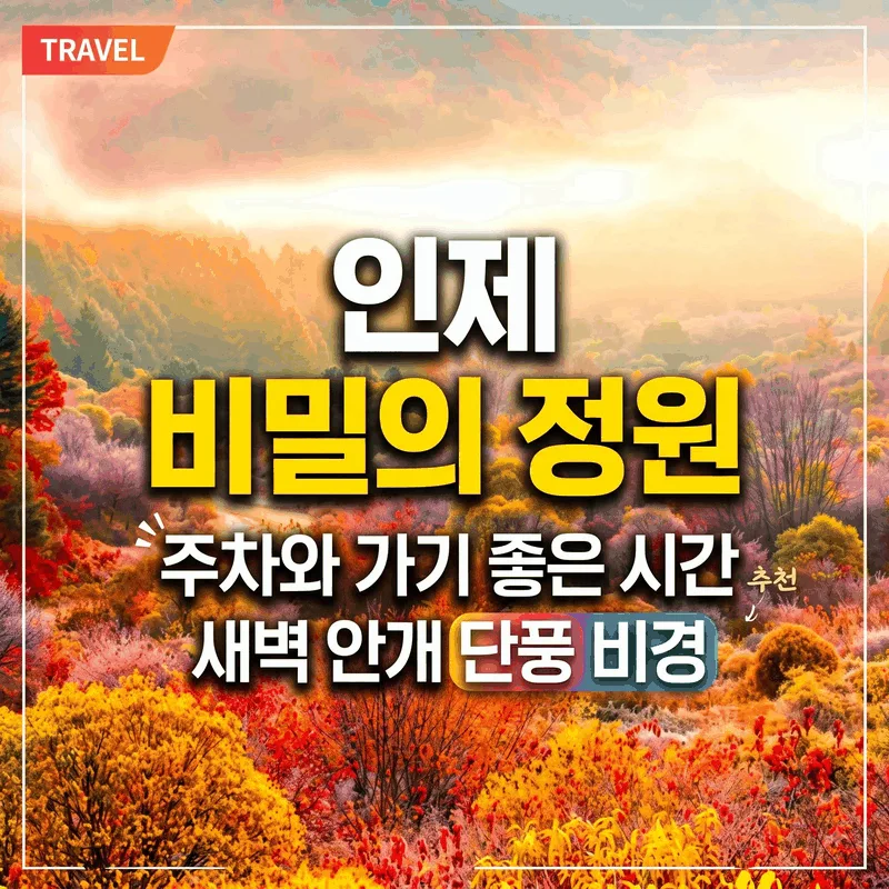 인제 비밀의 정원 주차와 가기 좋은 시간 새벽 안개 단풍 비경