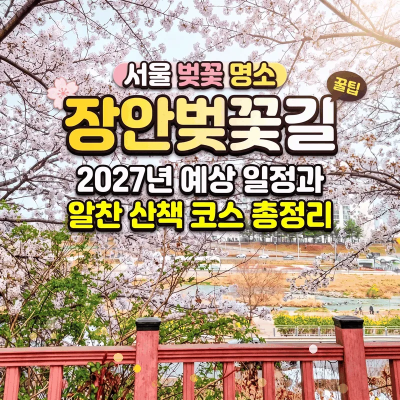 서울 벚꽃 명소 장안벚꽃길, 2027년 예상 일정과 알찬 산책 코스 총정리