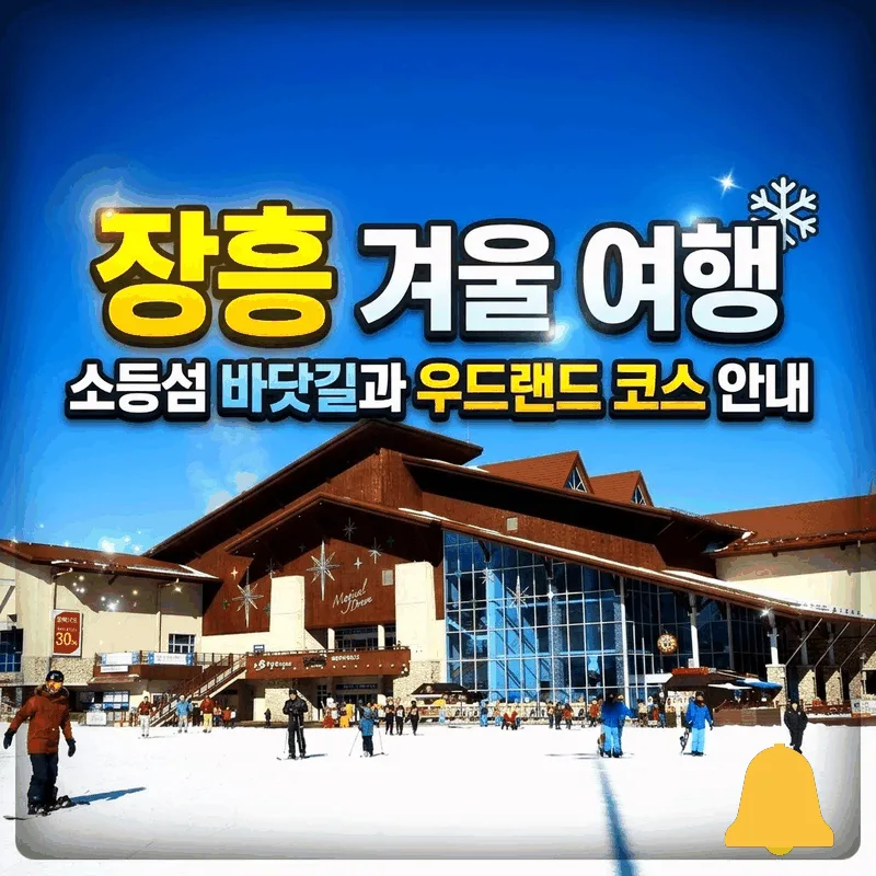 장흥 겨울 여행 소등섬 바닷길과 우드랜드 코스 안내