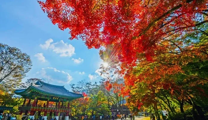 장성 백암산 백양사 단풍 / 사진=ⓒ한국관광공사 두드림