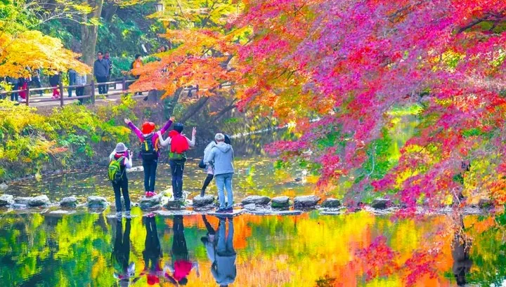 백양사 단풍 / 사진=ⓒ한국관광공사 두드림