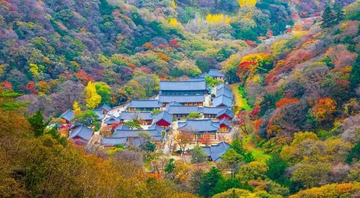 장성 백암산 백양사 항공사진 / 사진=게티이미지뱅크