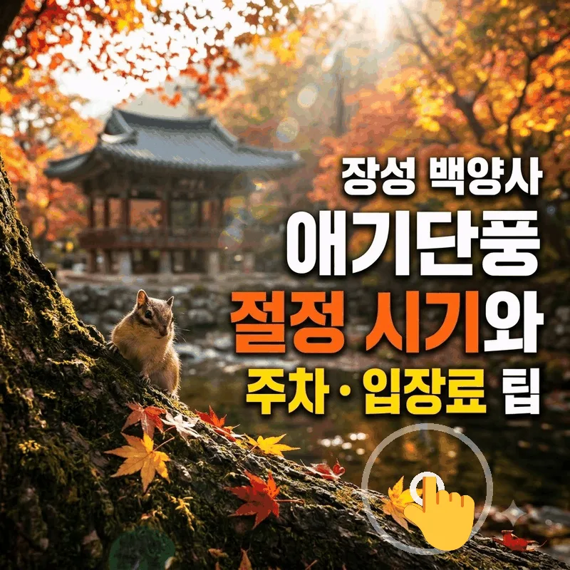 장성 백양사 애기단풍 절정 시기와 주차 입장료 팁
