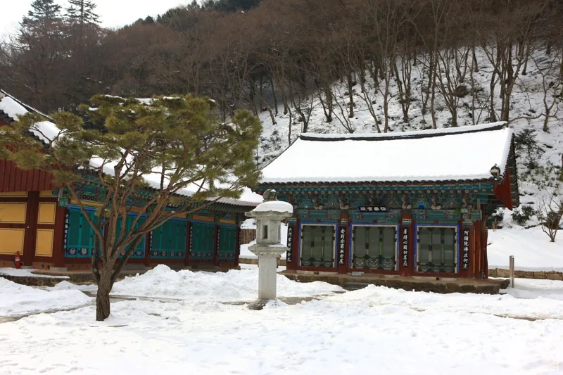 백양사
