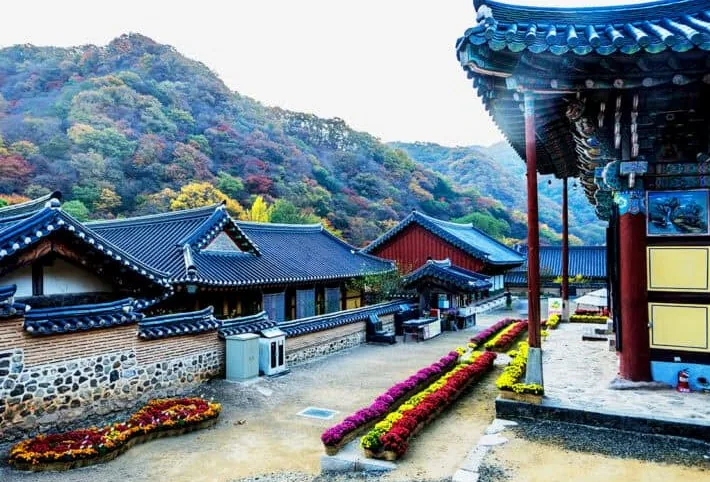 백양사 / 사진=게티이미지뱅크