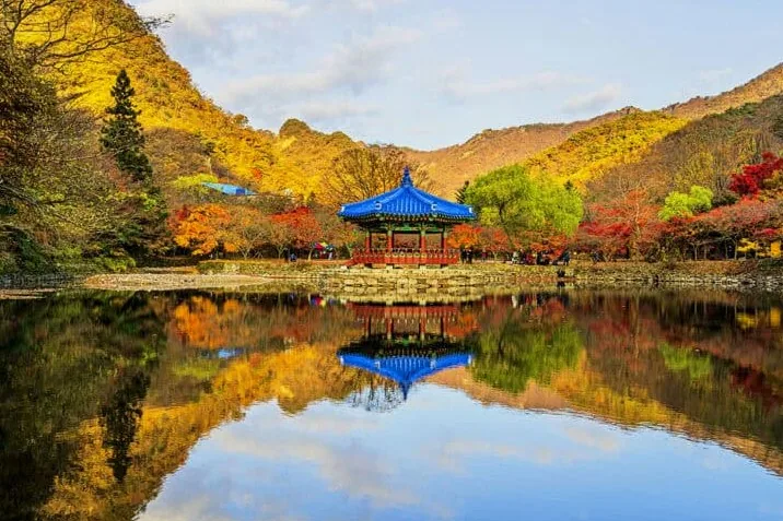백양사 우화정 / 사진=게티이미지뱅크