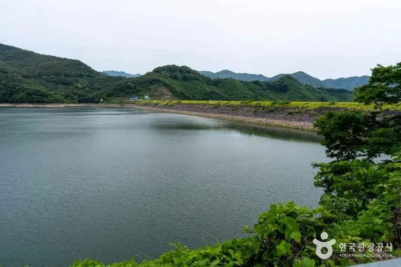 옐로우 출렁다리