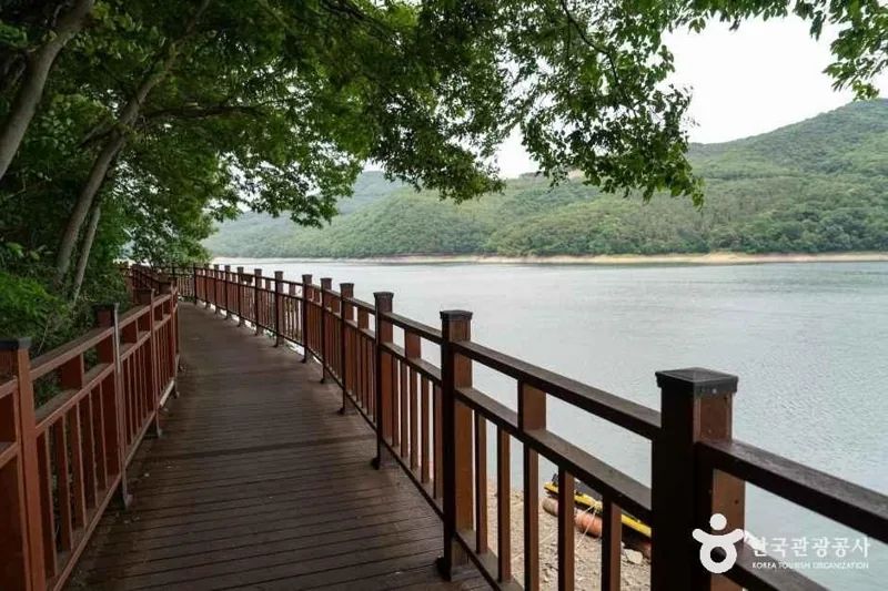 옐로우 출렁다리