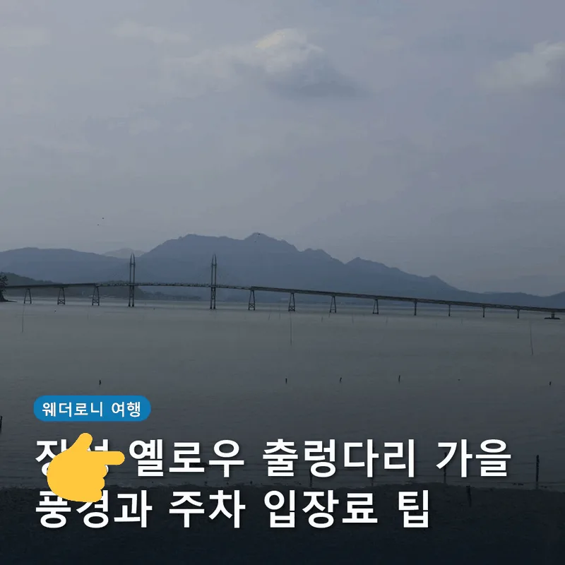 장성 옐로우 출렁다리 가을 풍경과 주차 입장료 팁