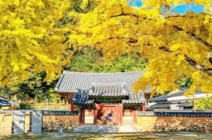 장수향교 가을 / 사진=인스타그램