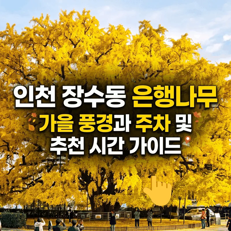 인천 장수동 은행나무 가을 풍경과 주차 및 추천 시간 가이드
