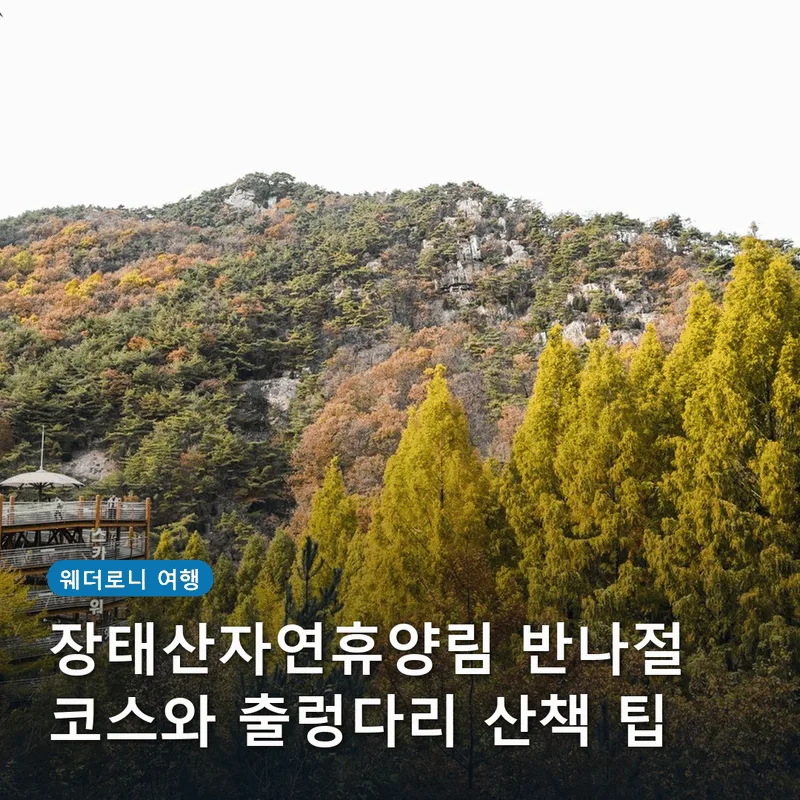 장태산자연휴양림 반나절 코스와 출렁다리 산책 팁