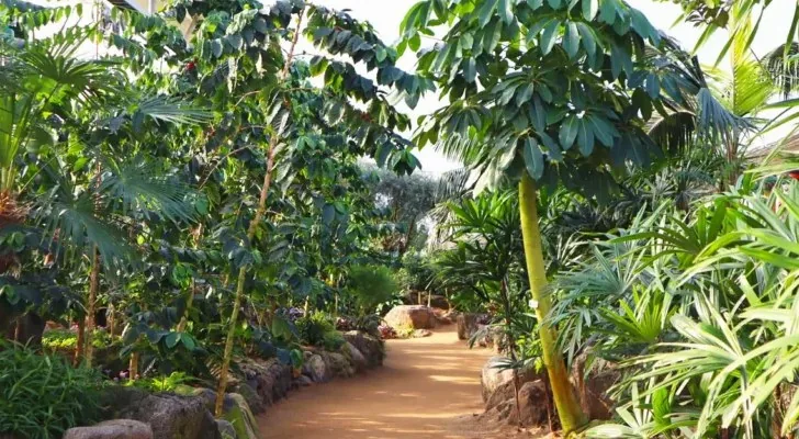 자라섬이화원 맨발걷기길 / 사진=가평군 공식 블로그