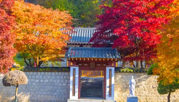 배론성지 단풍 / 사진=제천 공식블로그