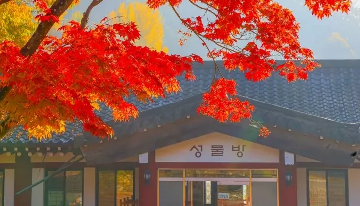 제천 배론성지 가을 / 사진=제천 공식블로그