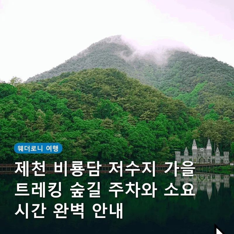 제천 비룡담 저수지 가을 트레킹 숲길 주차와 소요 시간 완벽 안내
